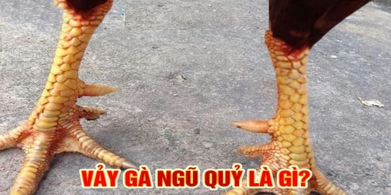 Vảy gà ngũ quỷ là gì?