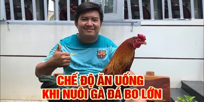Đảm bảo nguồn và số lượng thức ăn