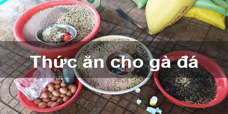 Chế độ dinh dưỡng