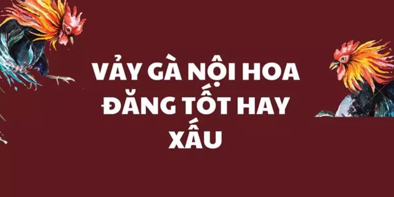 Gà có vảy nội hoa đăng là tốt hay xấu?