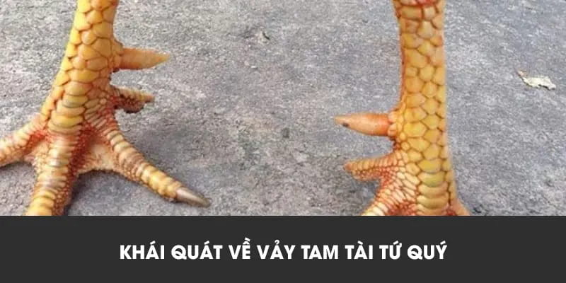Hướng dẫn bí quyết tìm kiếm vảy tam tài tứ quý