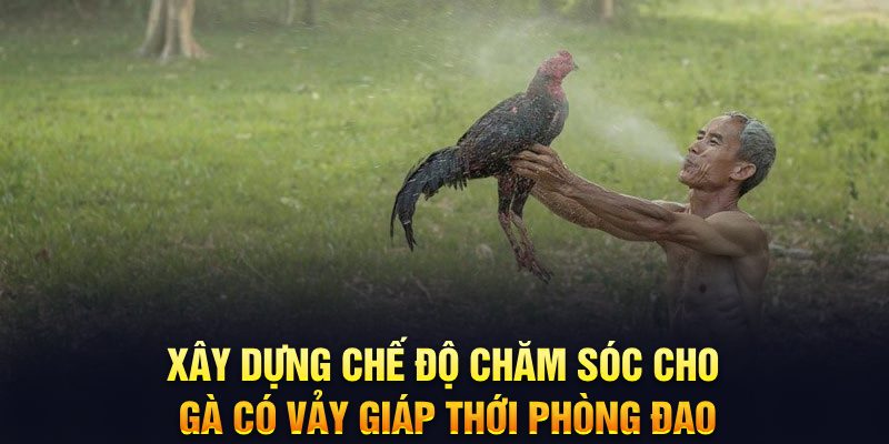 Xây dựng chế độ chăm sóc cho gà có vảy giáp thới phòng đao